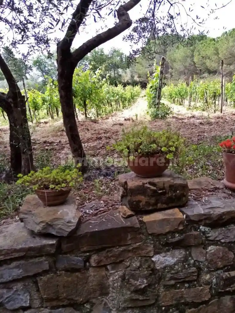 Rustico strada di cortine 1 1, Barberino Tavarnelle - foto 2