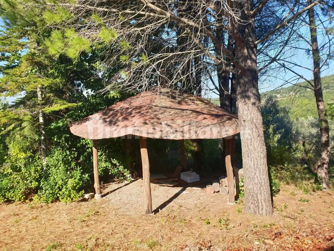 Palazzo - Edificio in vendita a Sorano