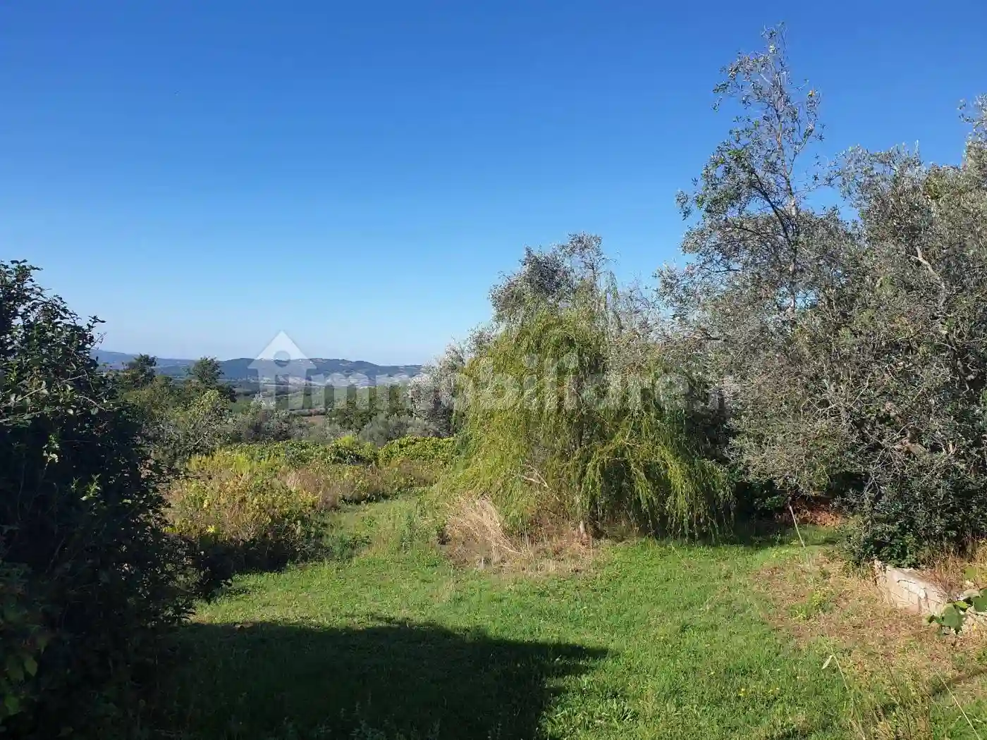 Palazzo - Edificio - foto 5