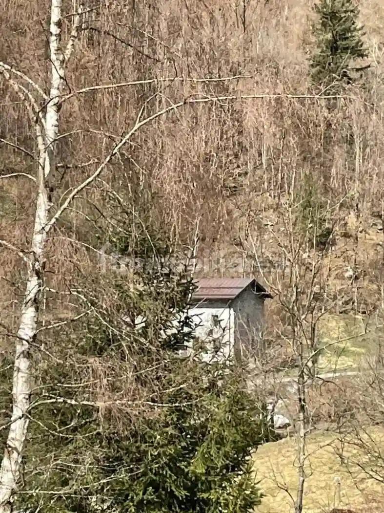 Rustico via Fresine 19, Cevo - foto 4