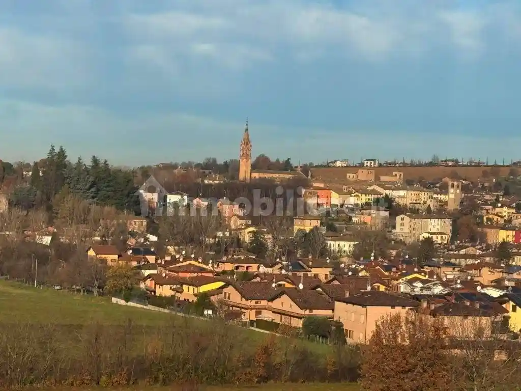 Rustico - Casale in vendita a Castelvetro di Modena