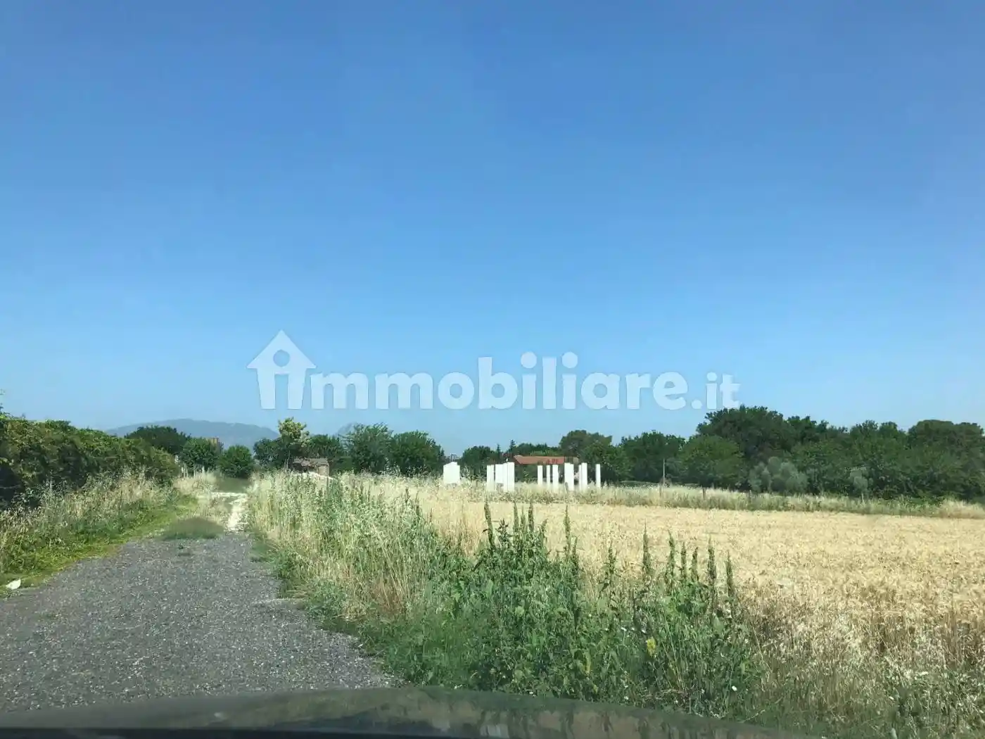 Chalet Contrada La Vipera, Coluonni, La Vipera, Benevento - foto 4