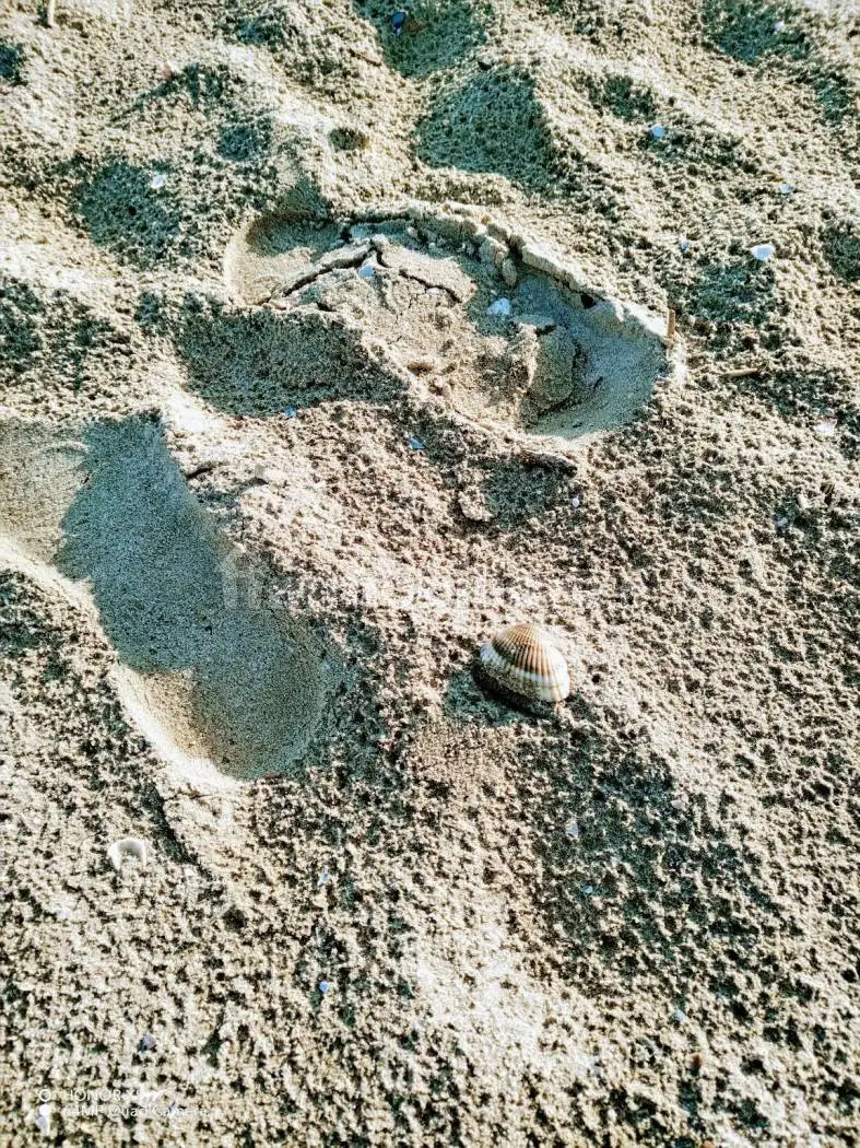 Villetta a schiera in affitto a Comacchio