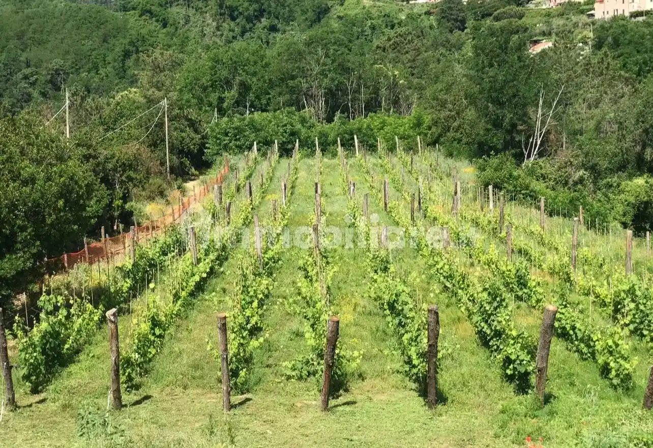 Casale via Antoniana 45, Montalbano - Valdurasca, La Spezia - foto 4