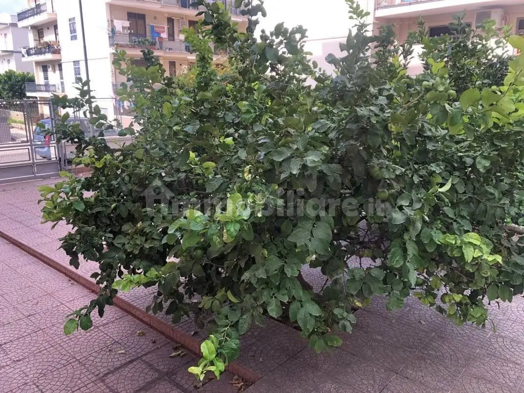 Appartamento in vendita a Pozzuoli