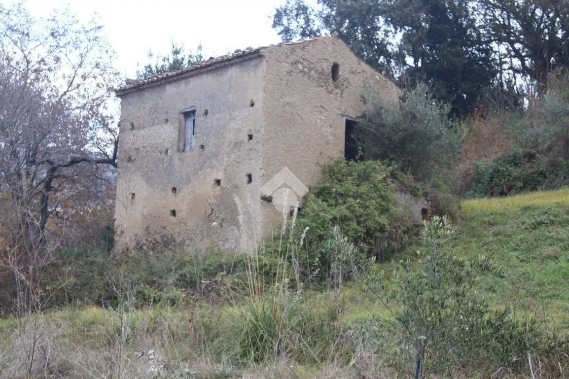 Rustico - Casale in vendita a Maierà