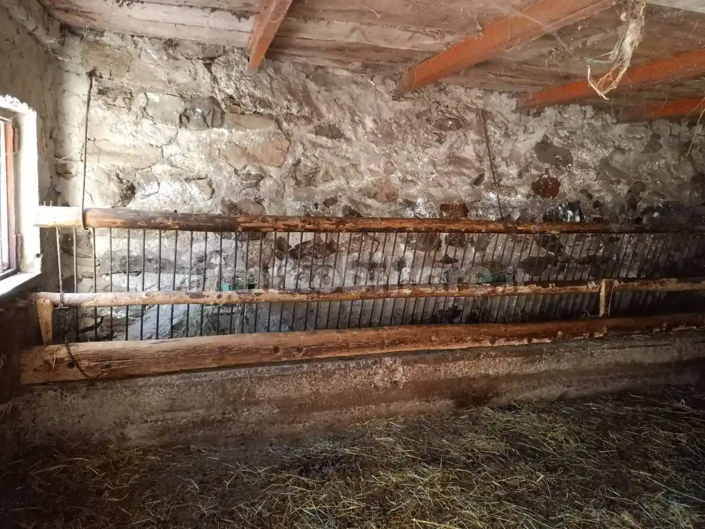 Cascina via Scasletto, Valtorta - foto 5