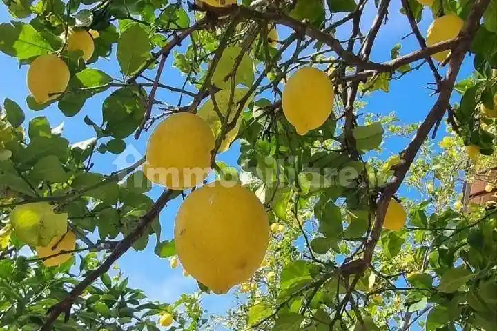 Appartamento in affitto a Ameglia