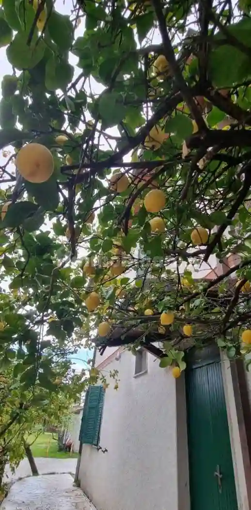 Monolocale via Arena 67, Centro, Ameglia - foto 4