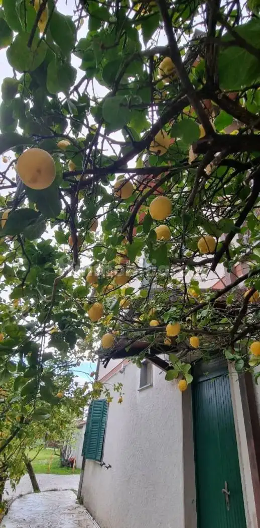 Monolocale via Arena 67, Centro, Ameglia - foto 2