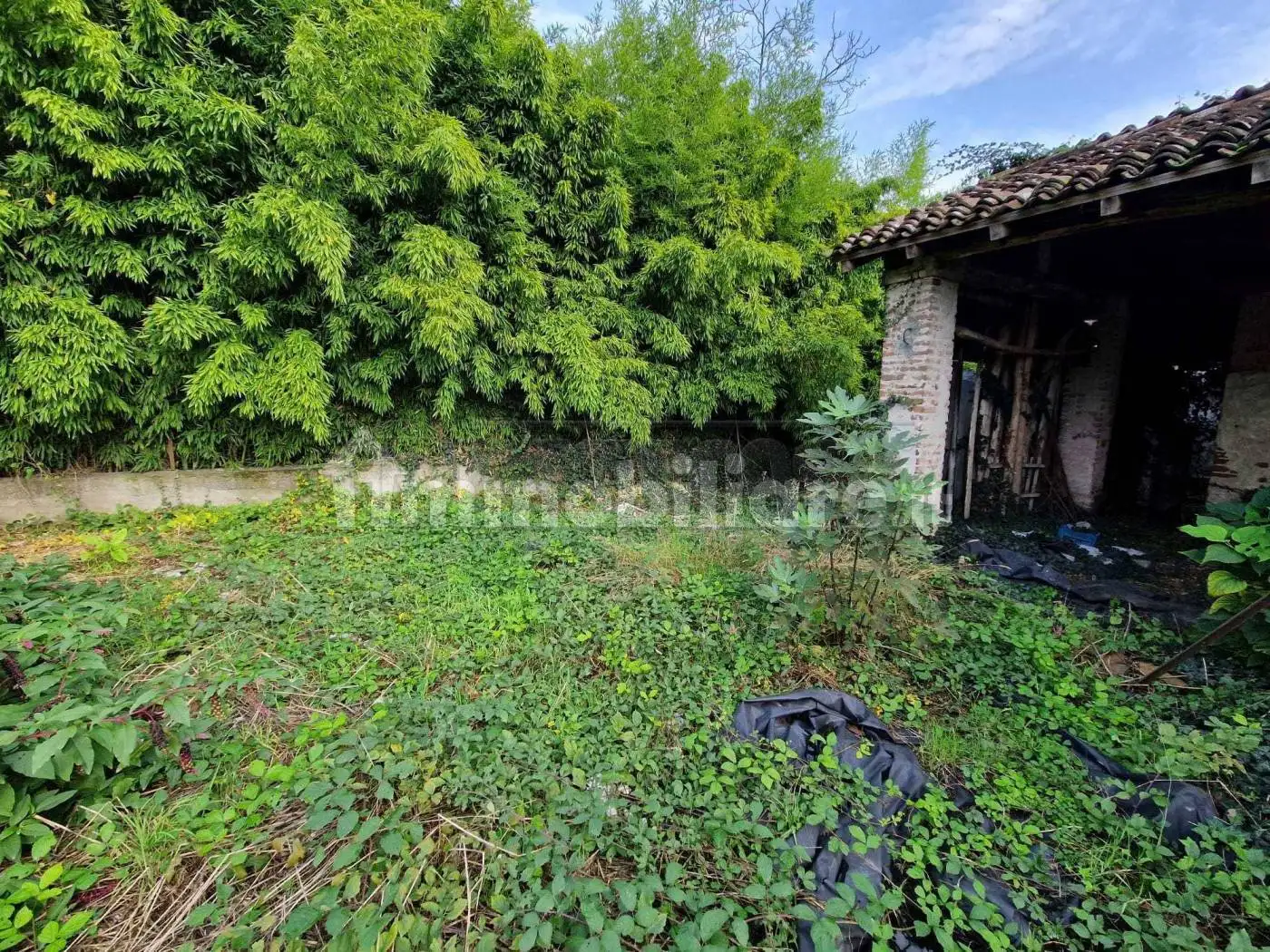 Rustico - Casale in vendita a San Daniele Po