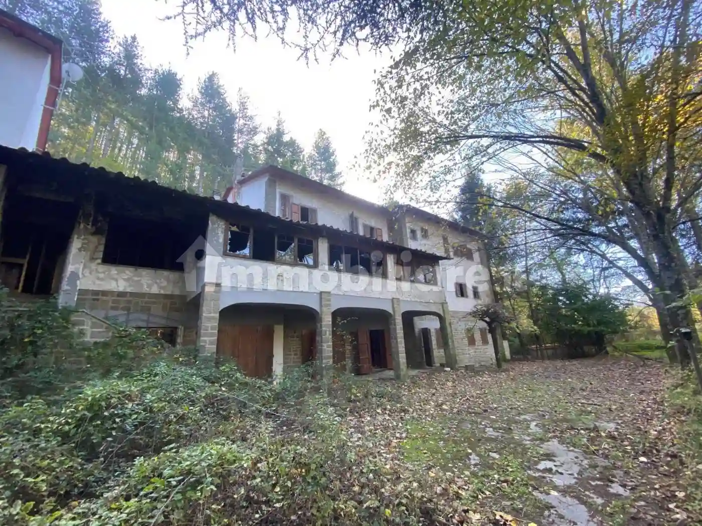 Palazzo - Edificio - foto 4