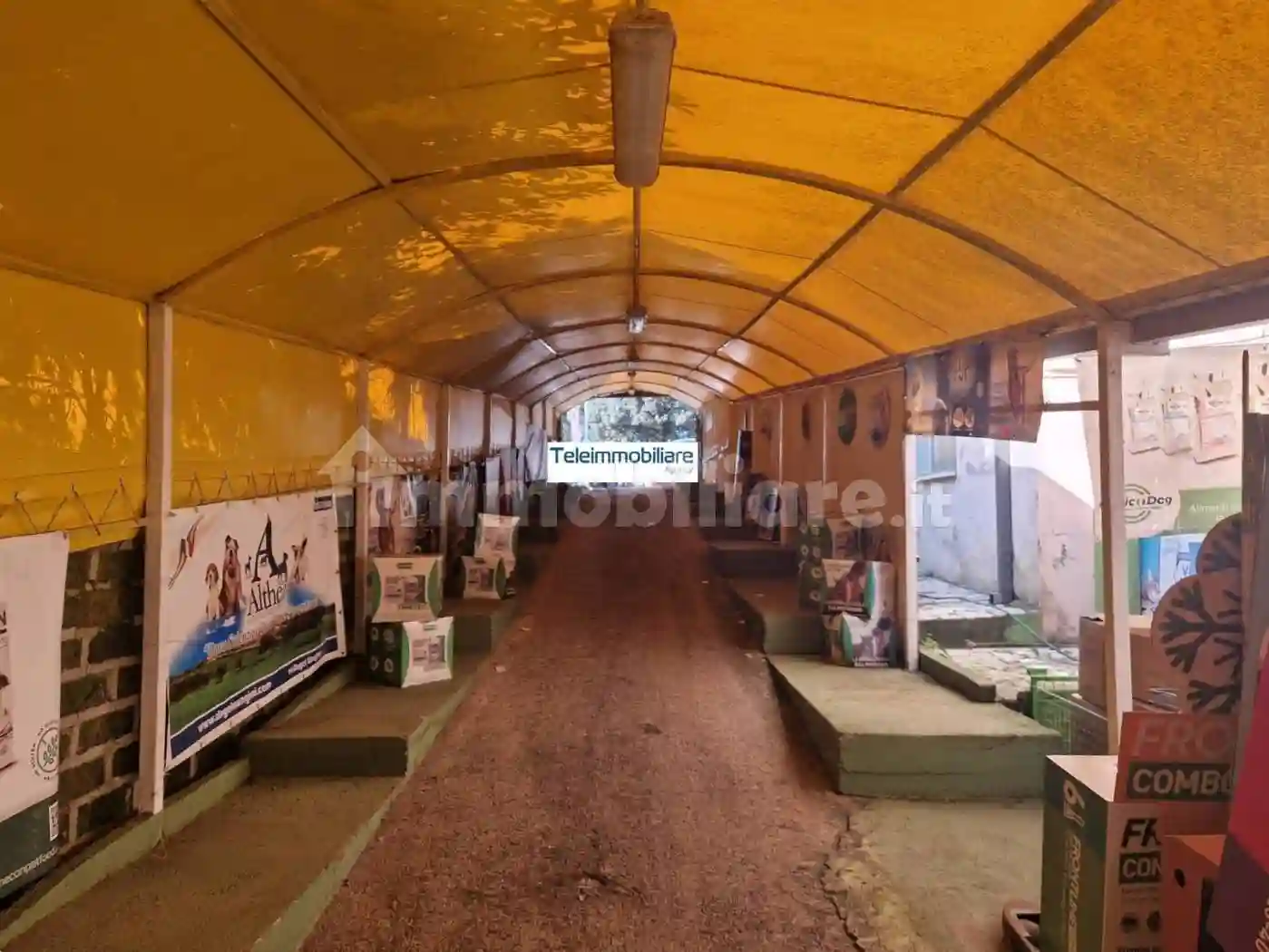 Palazzo - Edificio - foto 5