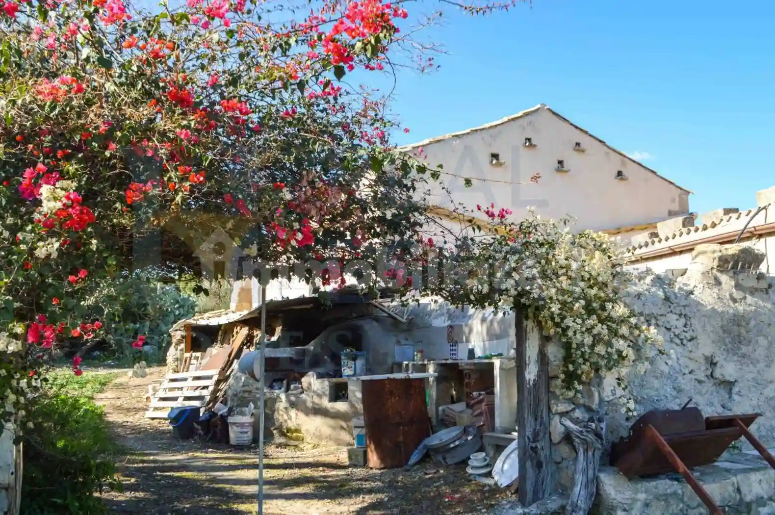 Rustico - Casale - foto 4