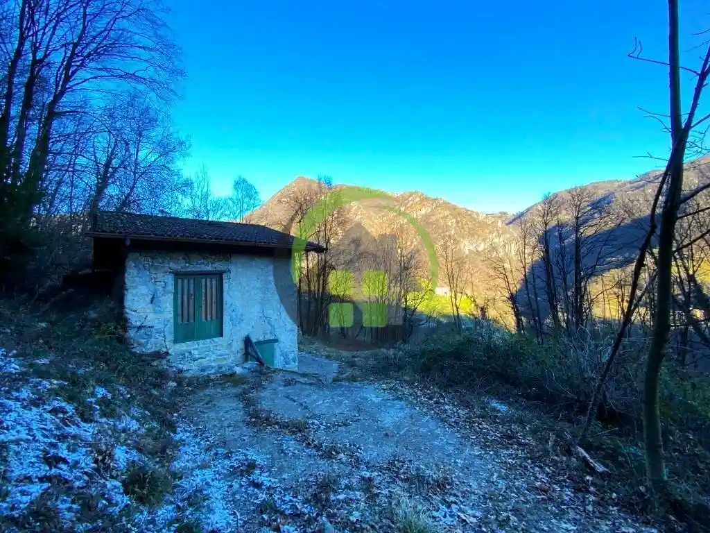 Rustico - Casale in vendita a Gazzaniga