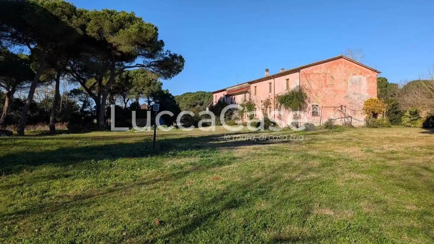 Appartamento ottimo stato, piano terra, Migliarino, Vecchiano - foto 2