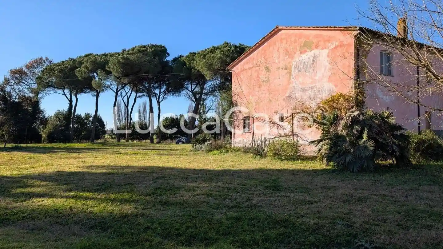 Appartamento ottimo stato, piano terra, Migliarino, Vecchiano - foto 3