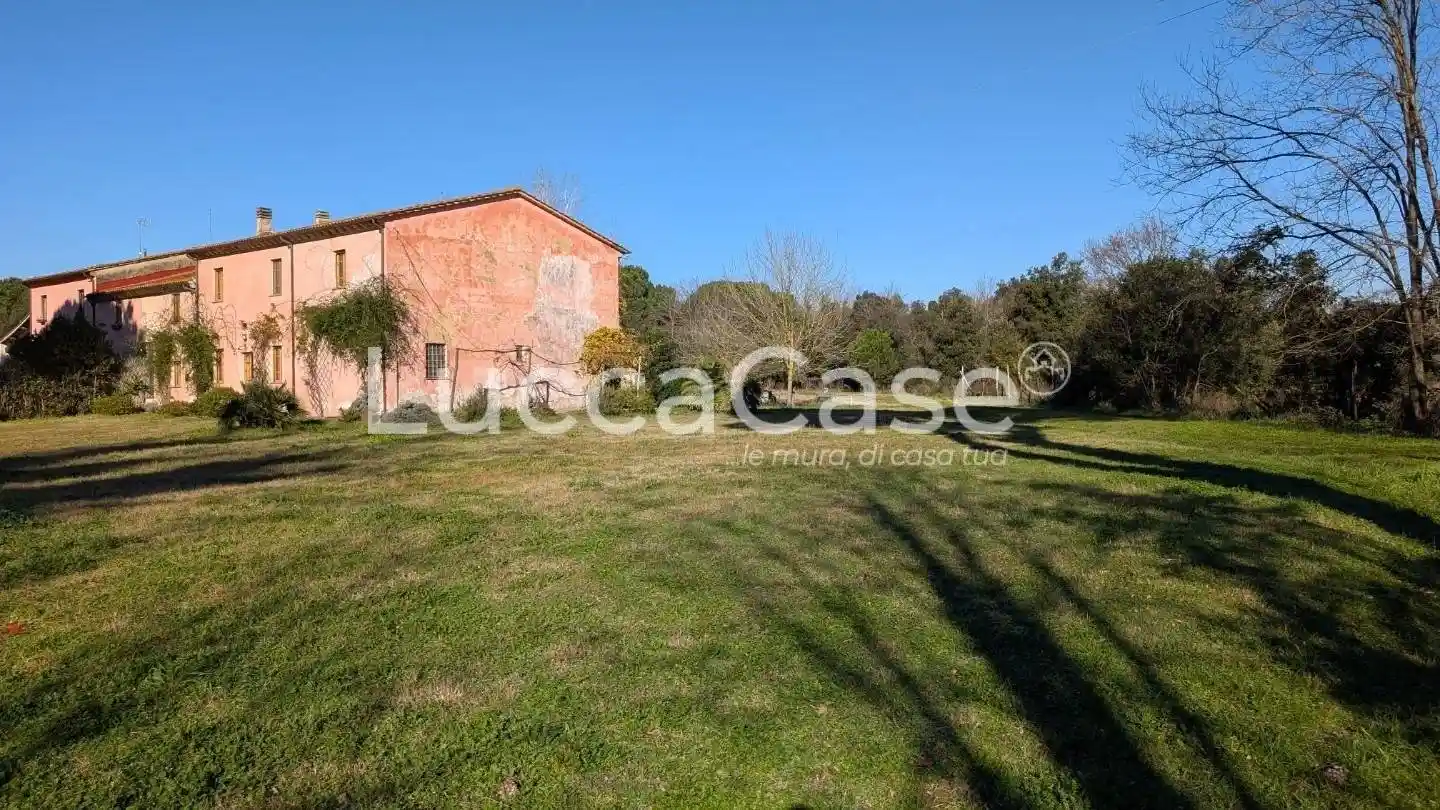 Appartamento ottimo stato, piano terra, Migliarino, Vecchiano - foto 5