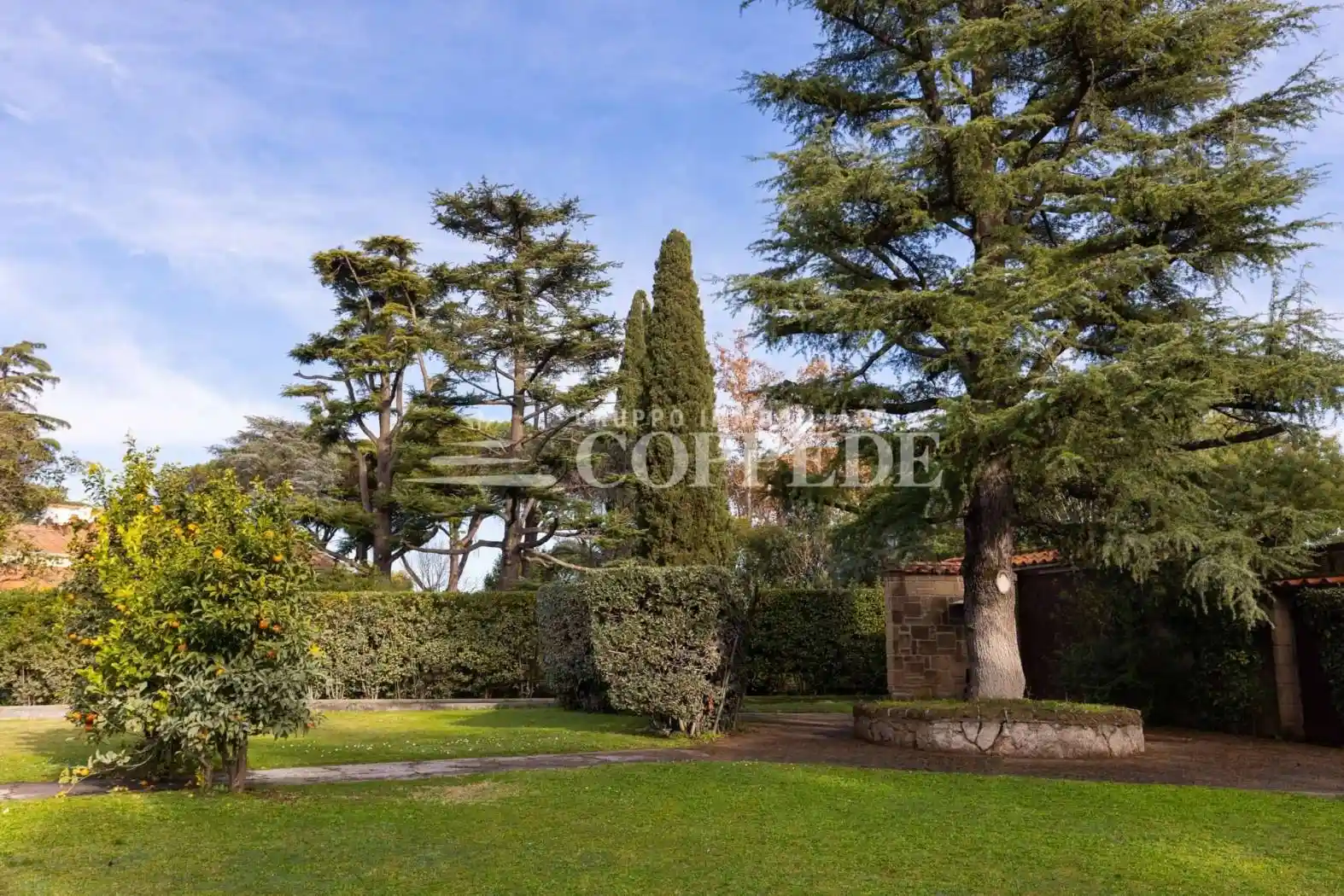Villa unifamiliare via DI FIORANELLO, Fioranello, Roma - foto 5