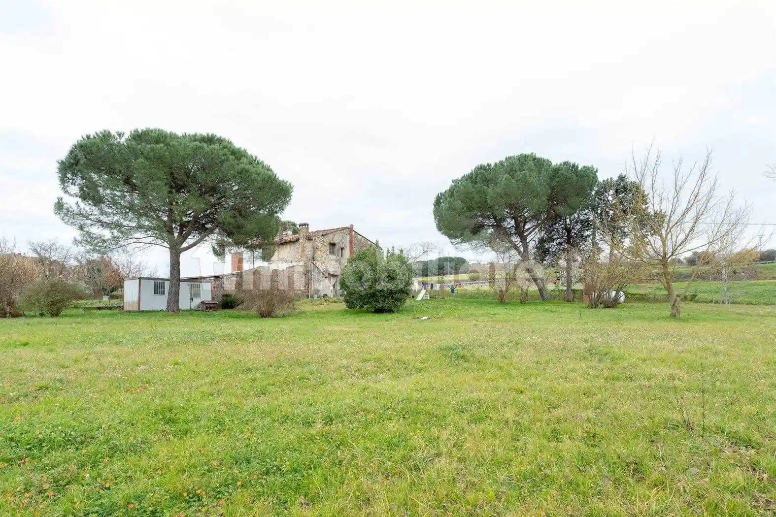 Casa indipendente in vendita a Signa