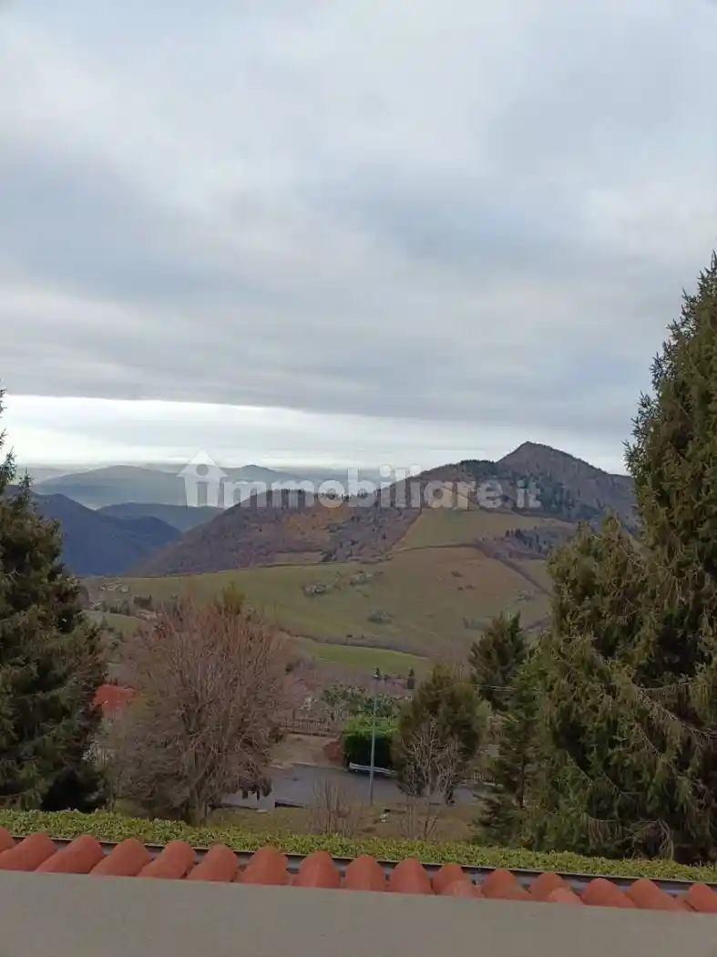 Appartamento in vendita a Grone