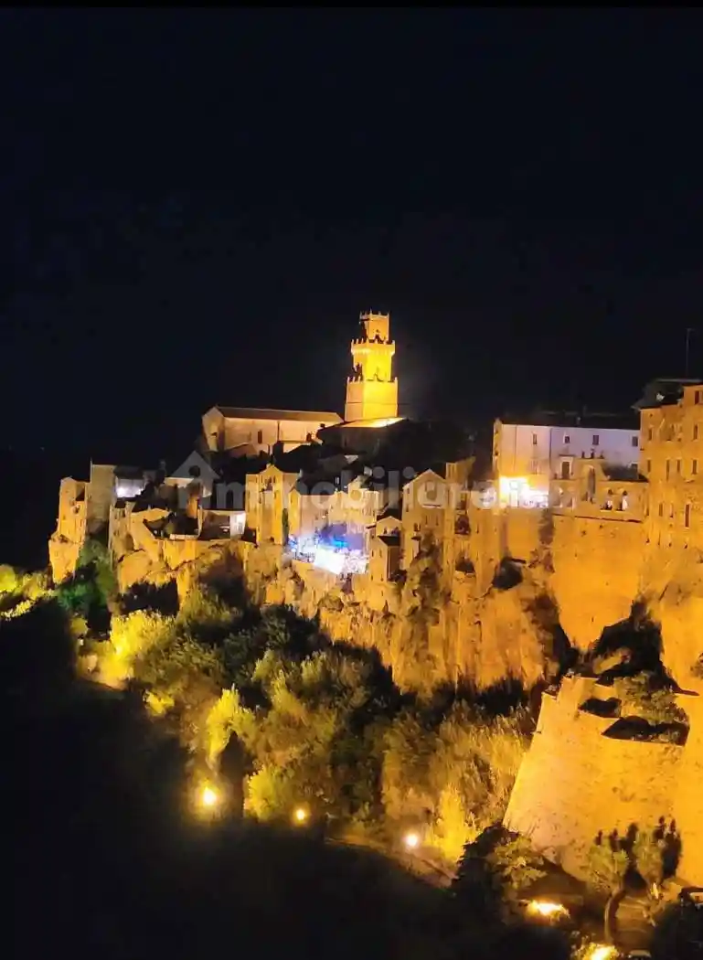 Appartamento in vendita a Pitigliano