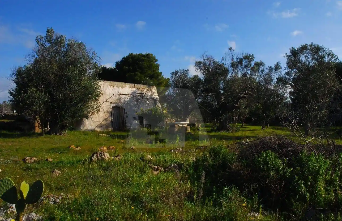 Rustico - Casale in vendita a Morciano di Leuca