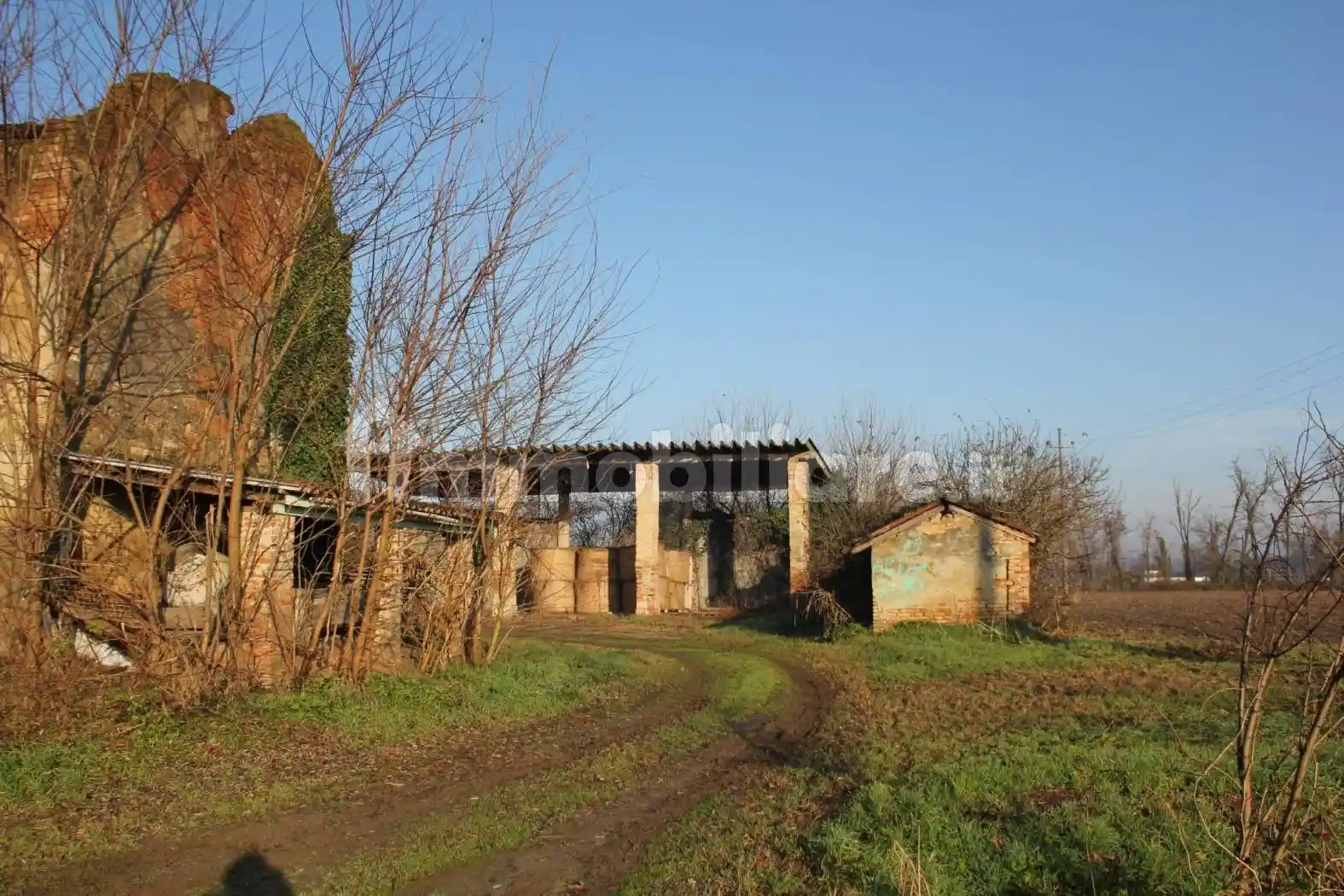 Rustico - Casale - foto 5