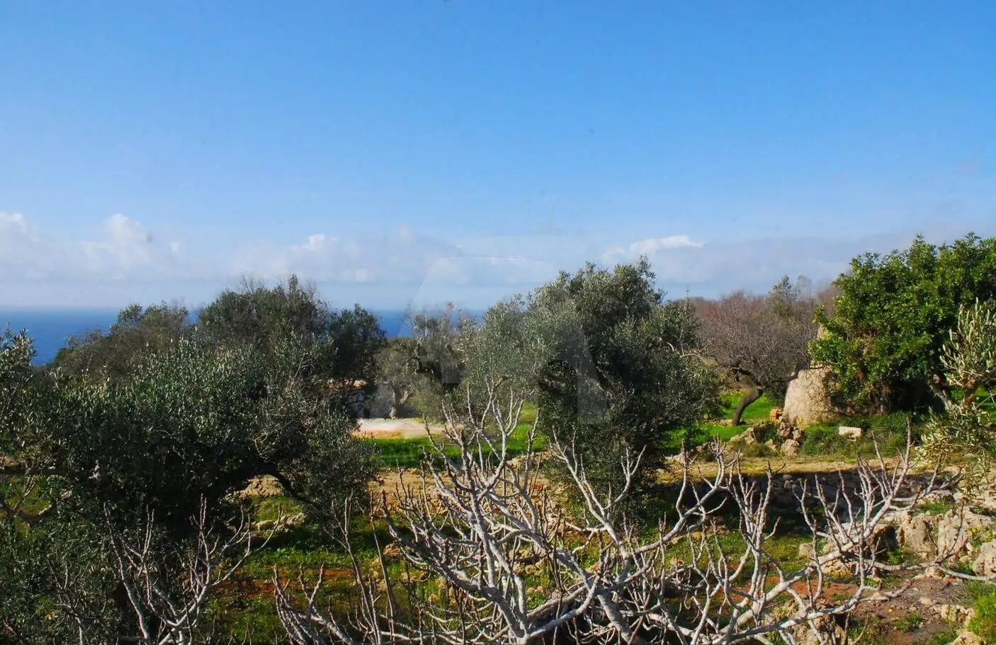 Rustico - Casale in vendita a Patù