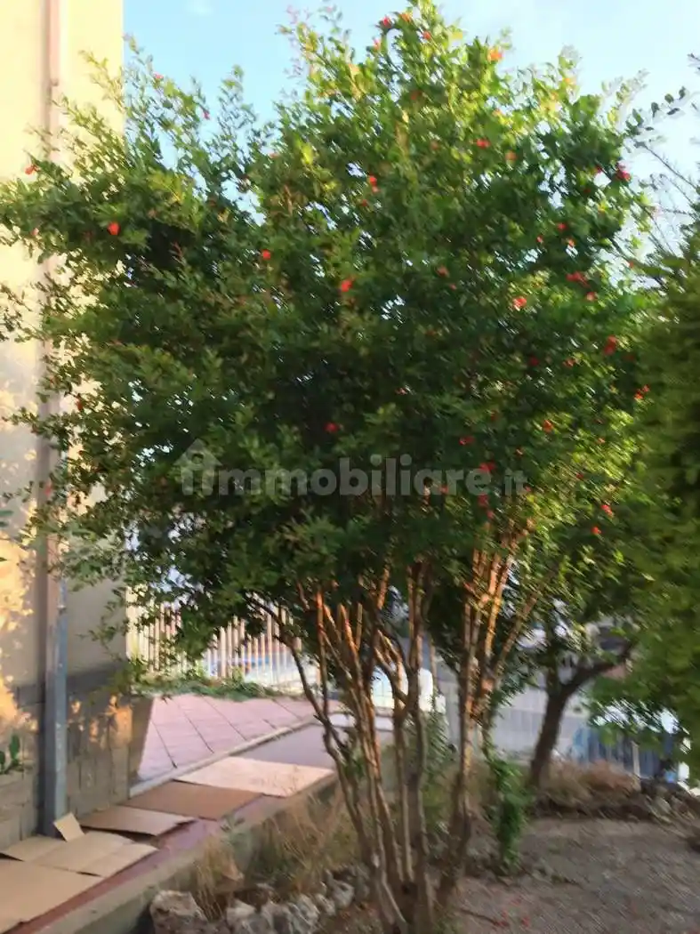 Appartamento in vendita a Cassine