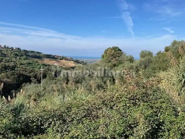 Rustico - Casale in vendita a Castagneto Carducci