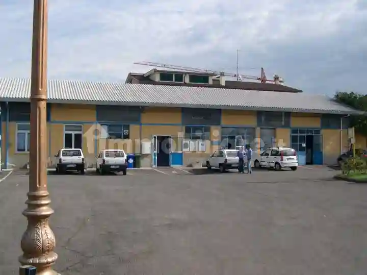 Palazzo - Edificio - foto 4