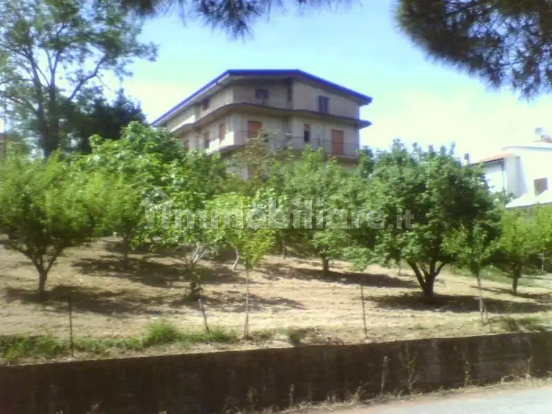 Villa in vendita a Francavilla Angitola