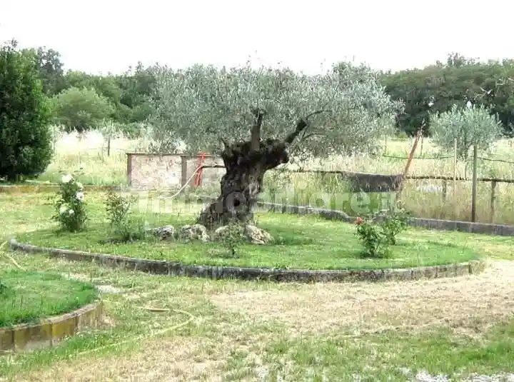 Villa bifamiliare Località Cascina, Pucciarelli, Castiglione del Lago - foto 4