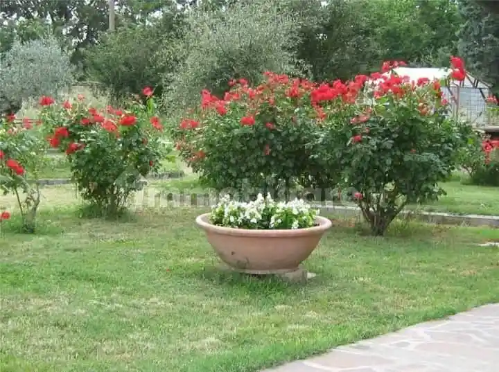 Villa bifamiliare Località Cascina, Pucciarelli, Castiglione del Lago - foto 5