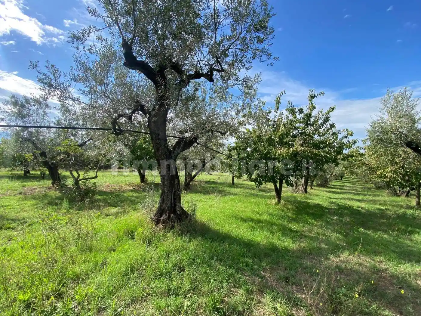 Rustico - Casale in vendita a Fara in Sabina