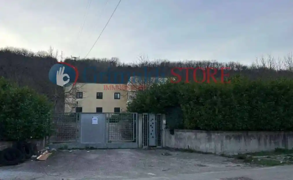 Palazzo - Edificio in Vendita - foto 4