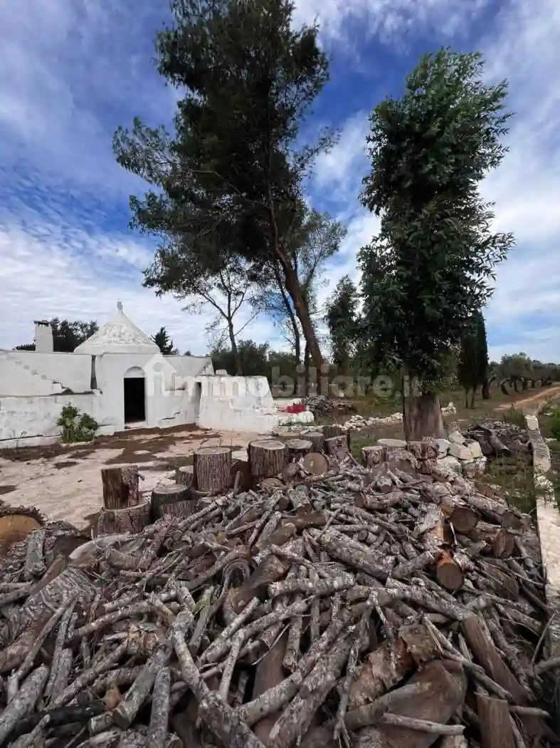 Rustico - Casale - foto 4