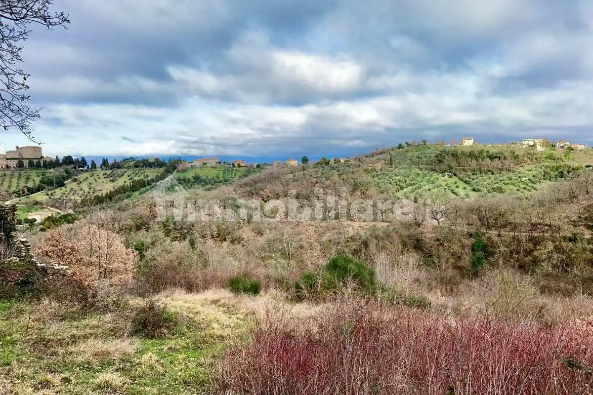 Rustico - Casale in vendita a Avigliano Umbro