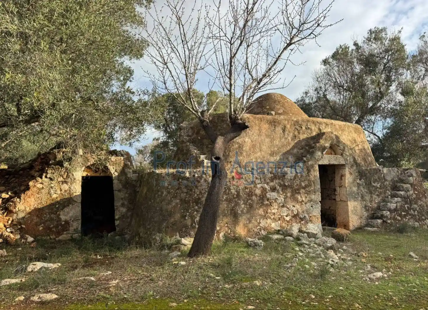 Rustico - Casale in vendita a Carovigno