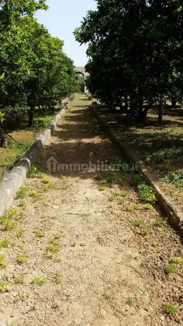 Palazzo - Edificio - foto 5