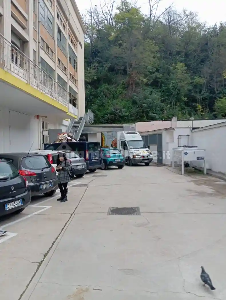 Palazzo - Edificio - foto 3