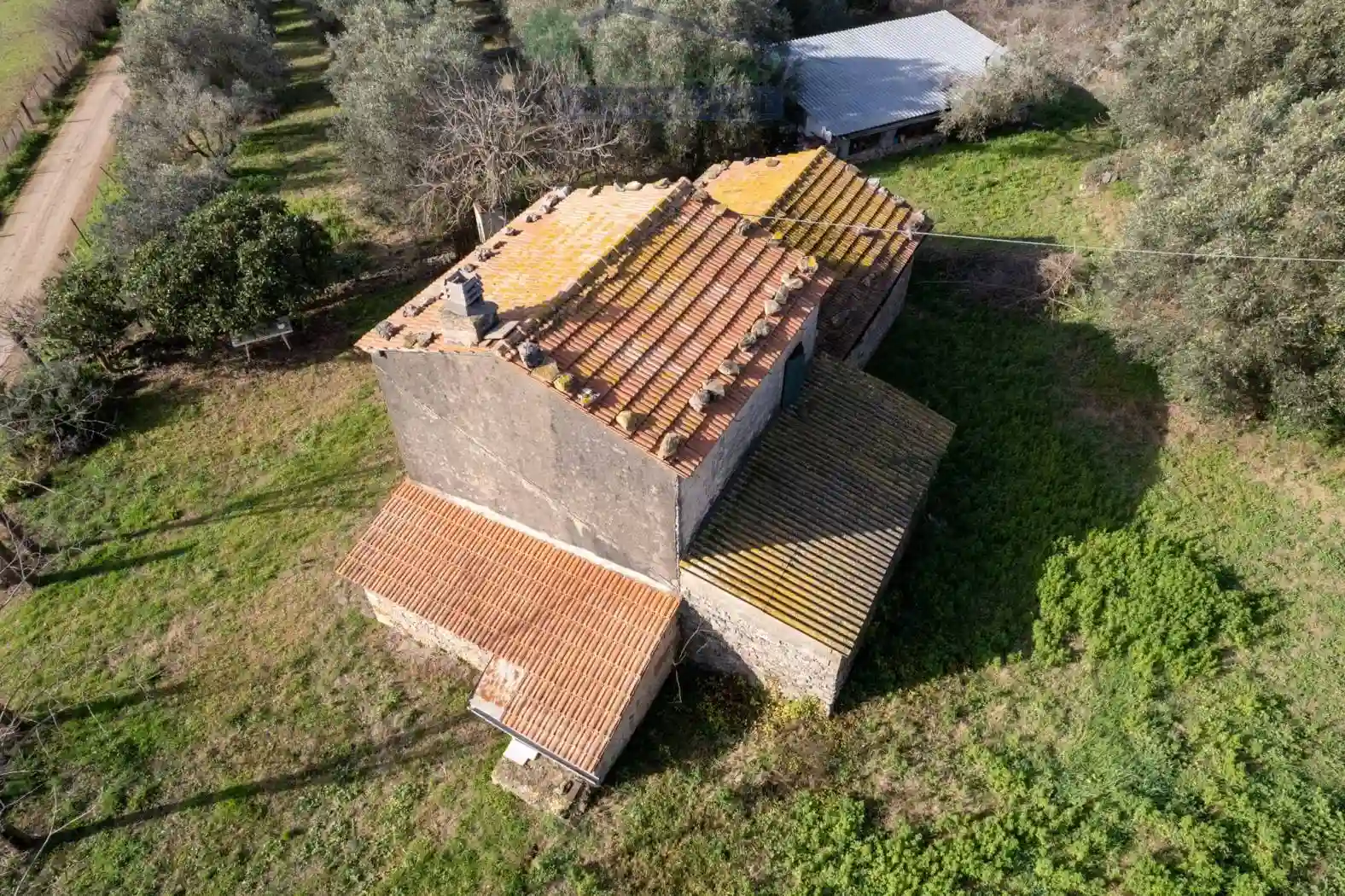 Rustico - Casale - foto 5