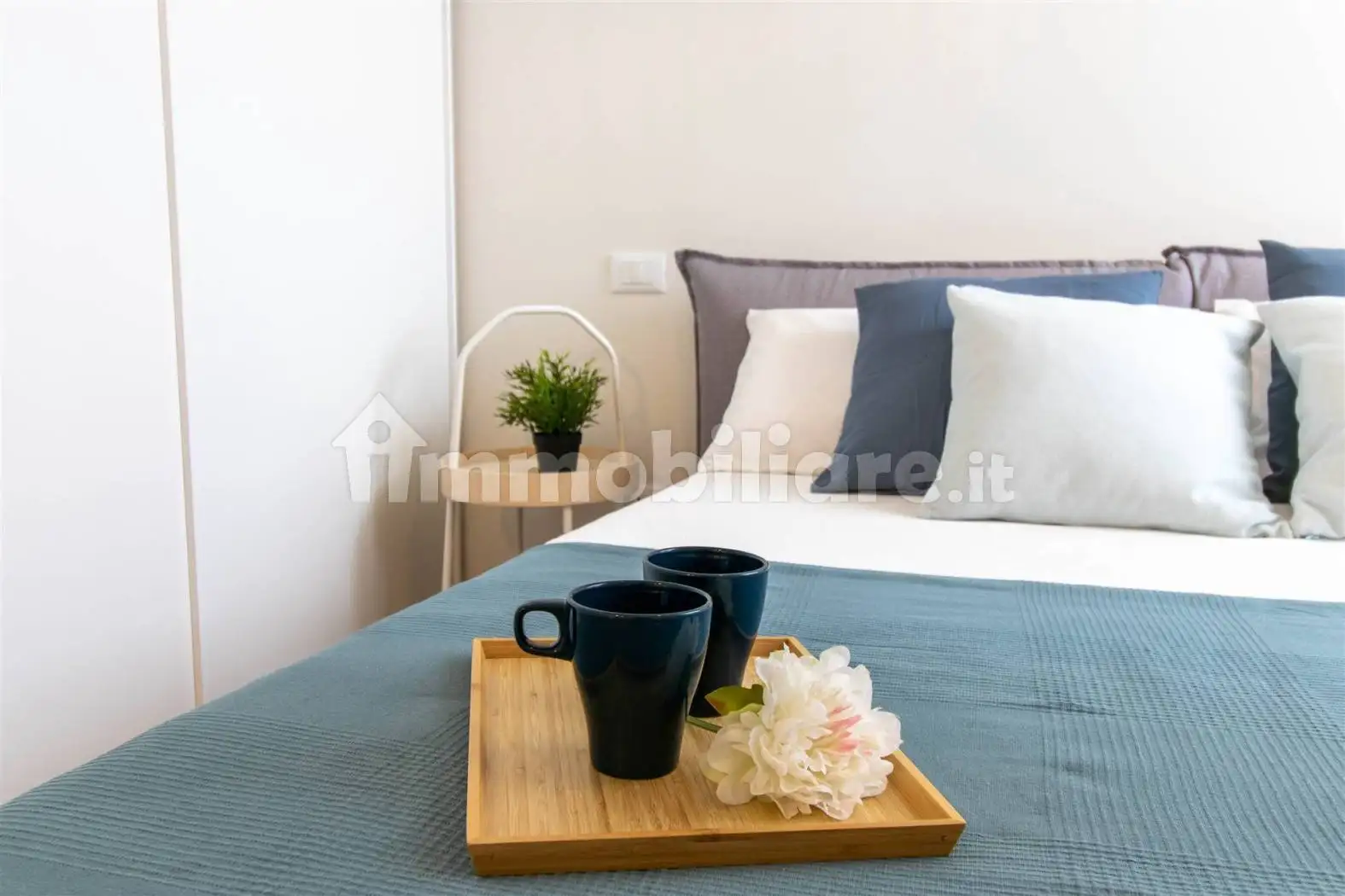 Appartamento in affitto a Viareggio