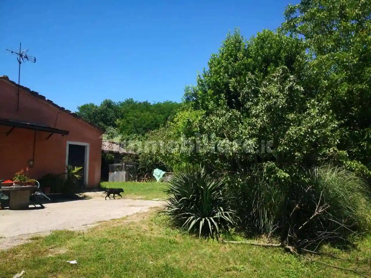 Rustico - Casale - foto 5