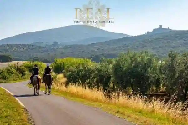 Rustico - Casale - foto 5