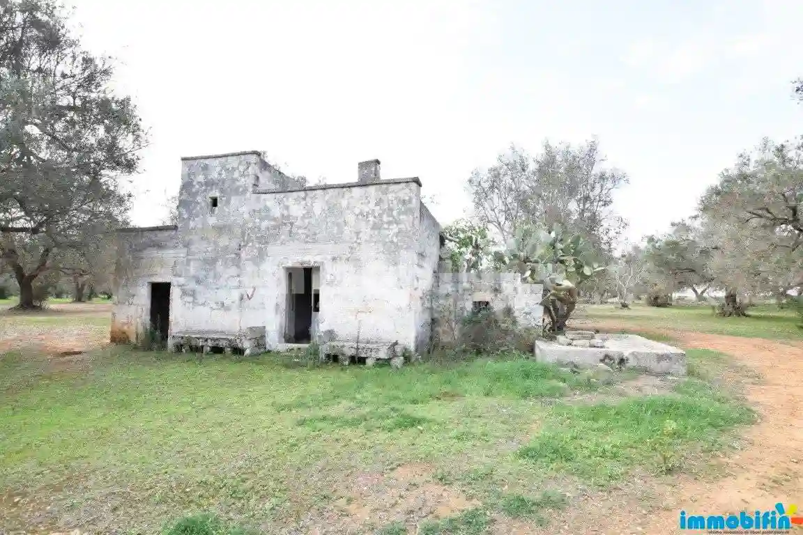 Rustico - Casale - foto 3