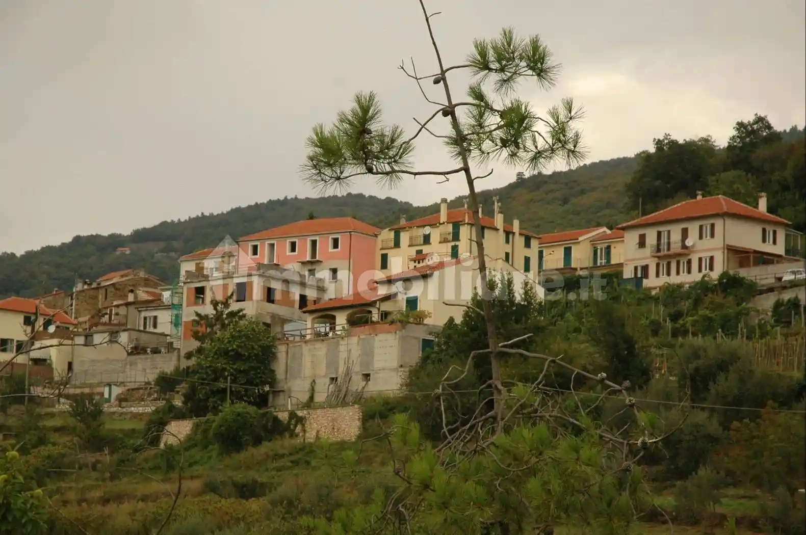 Palazzo - Edificio in vendita a Vezzi Portio