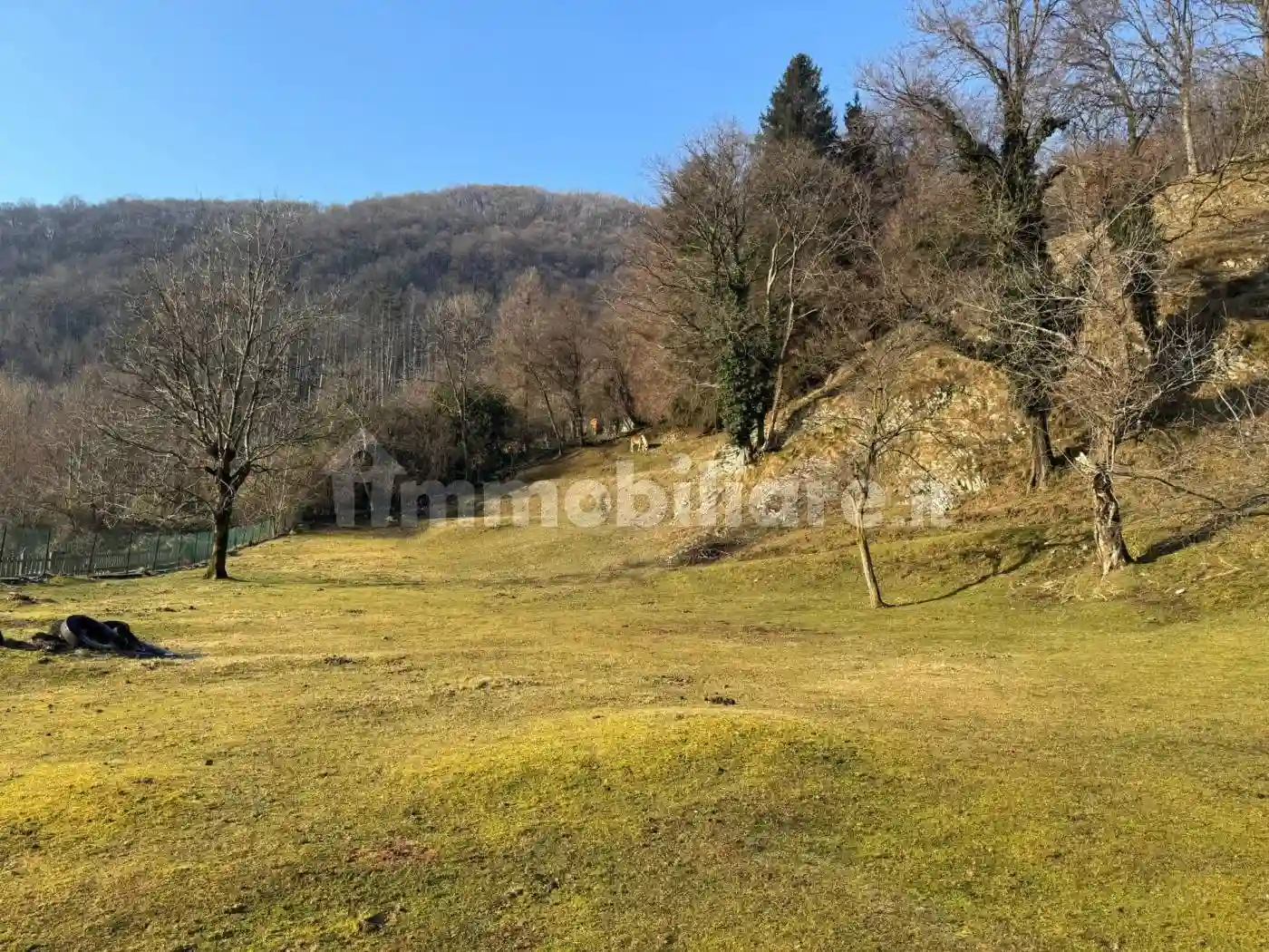 Palazzo - Edificio - foto 5