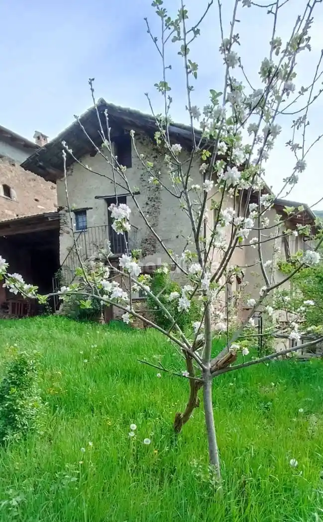 Rustico - Casale in vendita a Cartignano